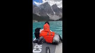 Taking in the Canadian scenery 😍 🇨🇦 🏔️ 📹 @the_adventure_cockers