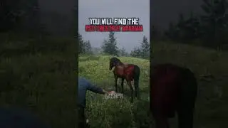 Rare Horse Locations In Red Dead Redemption 2 | #shorts #rdr2 #viral #gaming