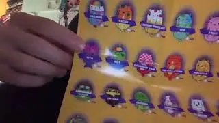 Huge Cats vs Pickles (Gold Wave) Chonks Unboxing
