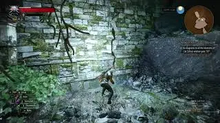 Witcher 3 - Scavenger Hunt: Cat School Gear - Explore the ruins of Est Tayiar