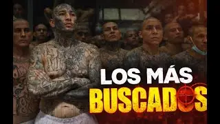 PRISI&Oacute;N PERPETUA PATA TODOS ; MS13