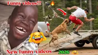 Самые смешные видео в TikTok. Попробуйте не засмеяться, часть 39.
