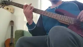 Spector Pro Q5 5 string Bass