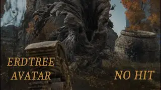 Elden Ring Erdtree Avatar No Hit