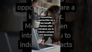 Why Mentorship Matters in the Online Business Realm