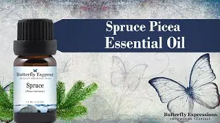 Spruce Essential Oil