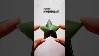 Coconut Leaf Star 🌿 | Easy DIY Craft #shorts