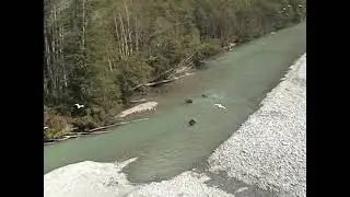 Dean River