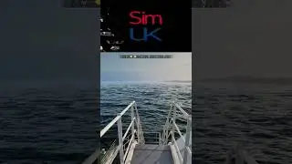 1 min Review : LNG & Bulk Update    |   with Sim UK