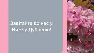 Садовый Центр Зелений Двір - Prunus serrulata Pink Perfection_Вишня_Сакура С3