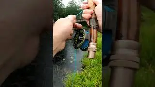Fly fishing in the Rain? #shorts #flyfishing #fishing #fishingvideo