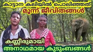 കാട്ടാനക്കലിയിൽ അനാഥമായ കുടുംബങ്ങൾ ദുരിതജീവിതം IEliphant AttackI