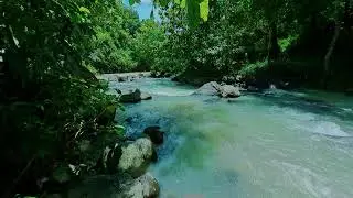 Water's Gentle Touch Now & ASMR River's Whisper: Sleep Tonight