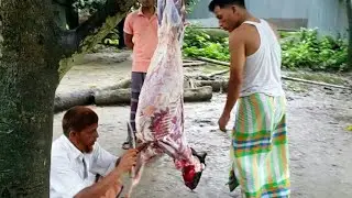 Amazing goat processing in Village। Goat processing। Muton cutting and processing। Goat meat cutting