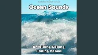 Ocean Waves for Dogs