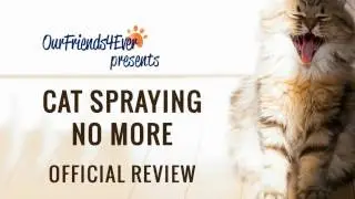 Cat Spraying No More - How to Stop Cat Spraying for Good - Official Review