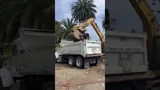 #cat #excavator #demolition #construction #selfmade #easymoney #peterbuilt #trending