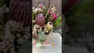 Who want to receive native flowers?#australia #native #flowers #viral #creative #florist #youtuber