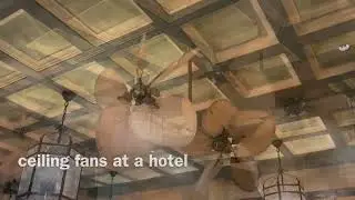 fanimation palisade ceiling fans at a hotel