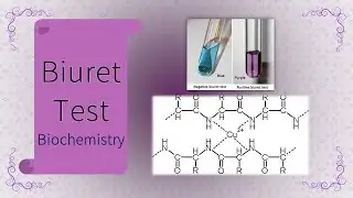 Biuret TEST | Biochemistry