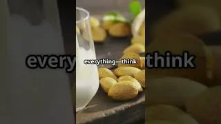 Vegan vs Vegetarian: what&rsquo;s The Real Difference?