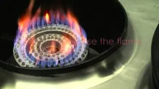 Adjusting 2 Ring Burner