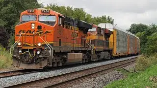 Cp 134
