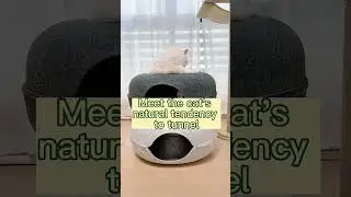 Discover the Donut Tunnel Cat Bed: The Ultimate Comfort Experience for Your Cat! LoveEveryPaw.com