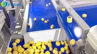 Potato cleaning and packaging machine veges washing processing line Aardappelwas- en verpakkingslijn