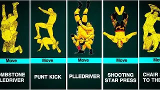 Most Dangerous WWE Moves 