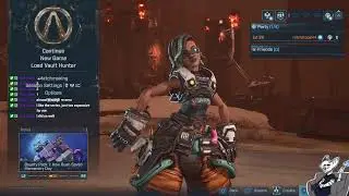 Night Stream: Lofi Borderlands 4. B)