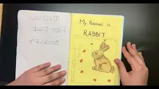 Animal Fact File Booklet on rabbit