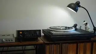 Stevedore Stomp / Duke Ellington and his Cotton Club Orchestra