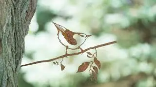 Kijkje achter 't scherm bij Metalbird oktober 2017