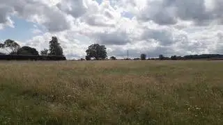 Woodcote estate Carshalton.