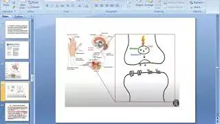 Mechanism  of action of Opioids....afsomali.