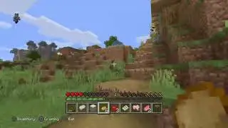 Minecraft playing wit friends