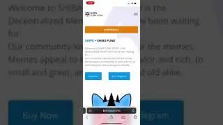 Shiba Punk -Token review