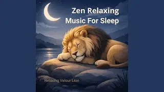 Zen Calm Night Flow