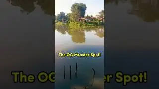 Место для рыбалки! #mancing #fishing