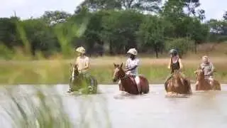 Antelope Park Stables