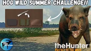 Hunting Wild Hogs For The Hog Wild Summer Challenge | TheHunter Call Of The Wild