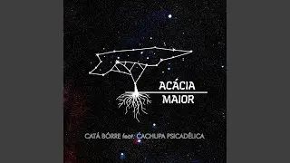 Catá Bórre (feat. Cachupa Psicadélica)