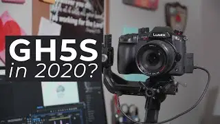 Why I bought a Panasonic Gh5S in 2022