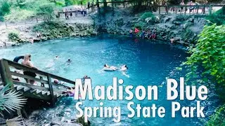 Suối Nước Kho&aacute;ng | Madison Blue Spring State Park | Florida State Parks
