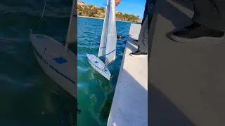 Sailboat RC test one ☝🏼#explore #shorts
