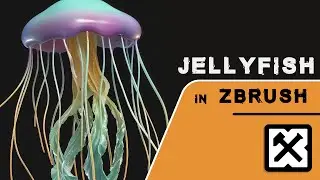 Jelly fish blocking process !