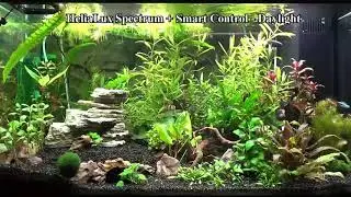 Juwel HeliaLux Spectrum LED + Smart Control (Day in 5 minutes)