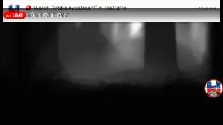 limbo livestream