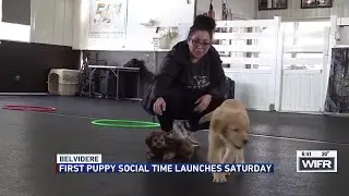 Puppy Social Time launches in Belvidere for new dog owners during winter months
